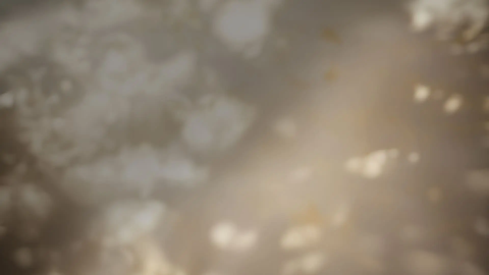 sl4-bg1.jpg