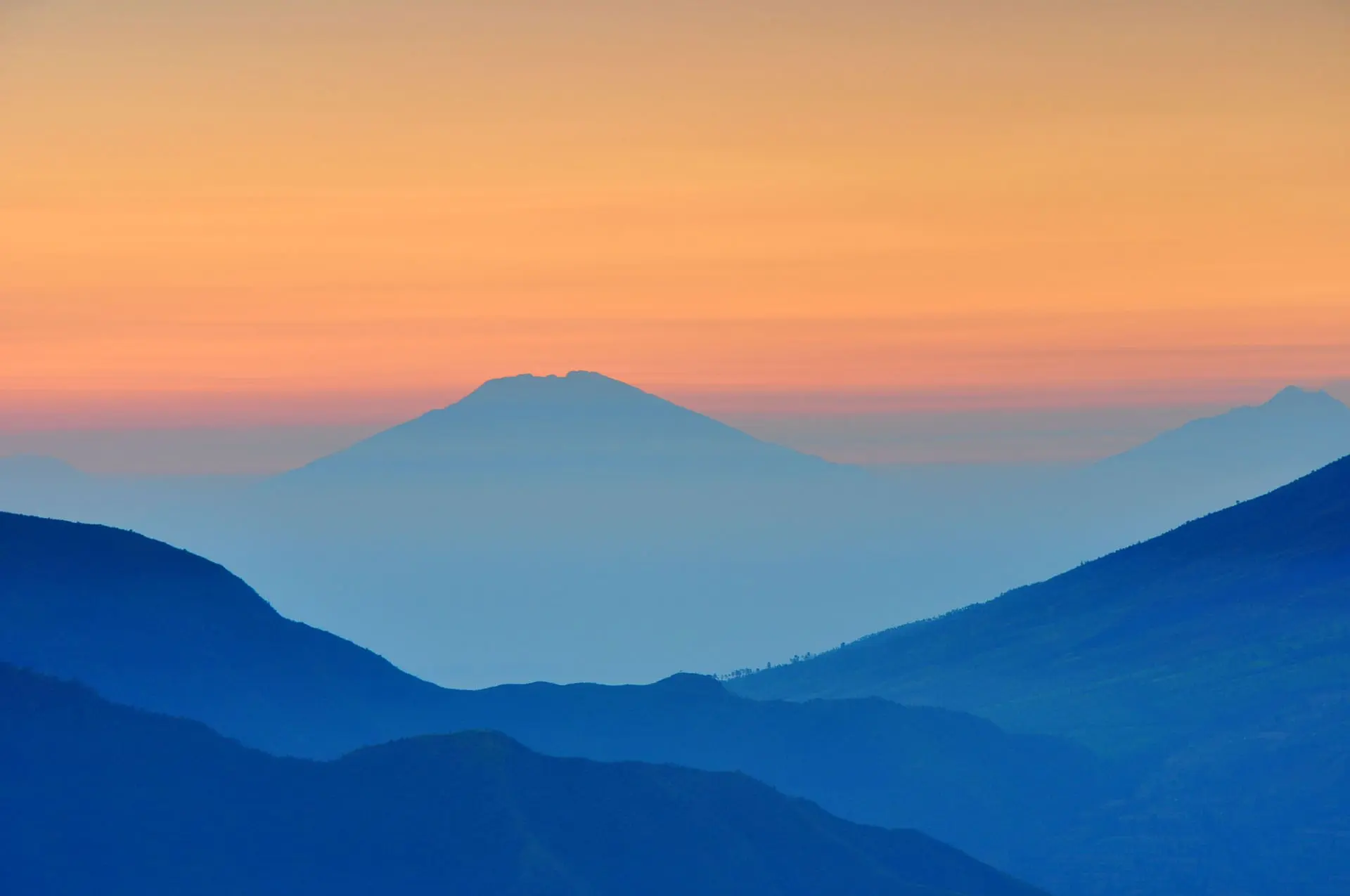 landscape.jpg