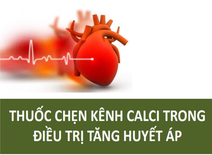 Thuốc điều trị tăng huyết áp nhóm Chẹn kênh Calci.