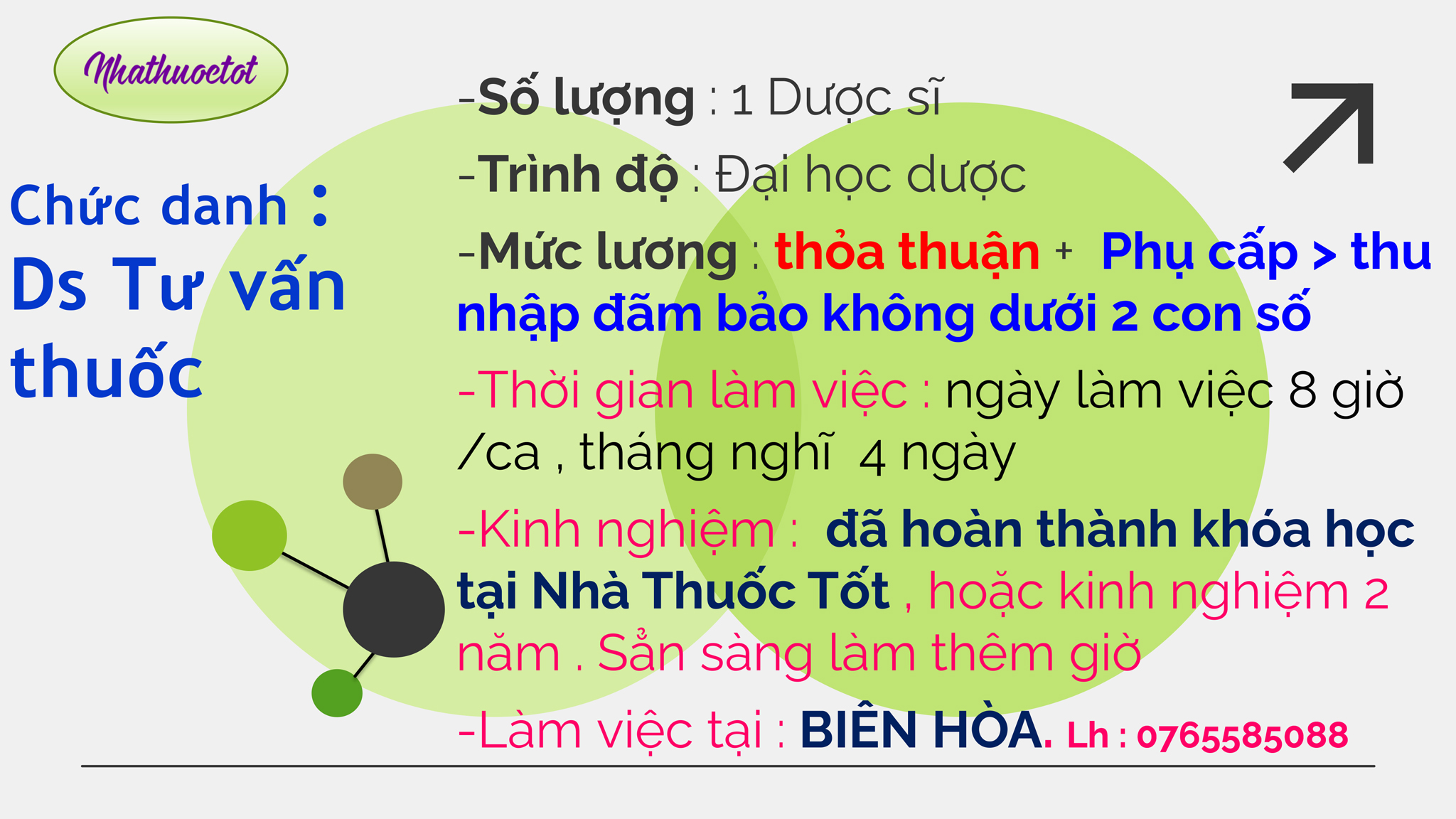 Viec lam thang 10 2026 duocsituvanthuoc 2048